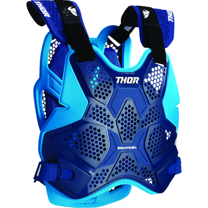 Thor Sentinel Pro Blue Armour - Image 2